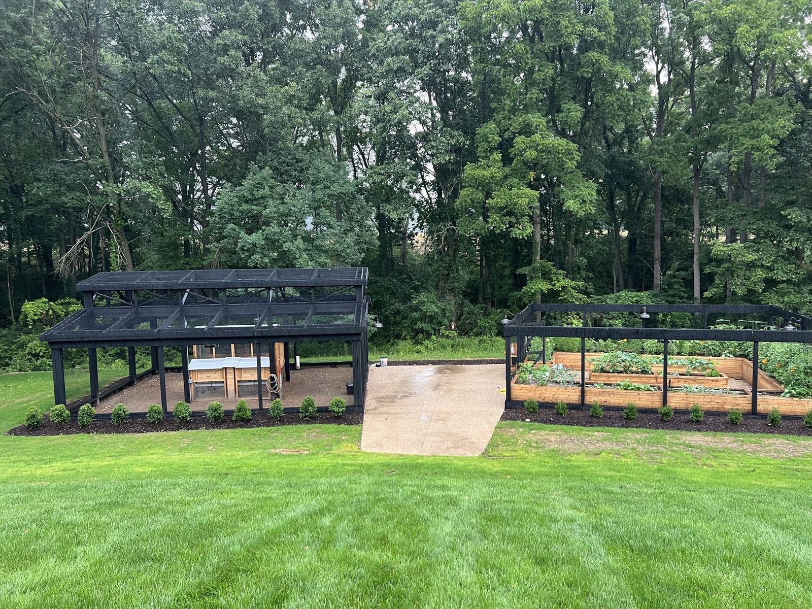 Black timber-framed coop and enclosed garden compound with cedar raised beds, Ada MI